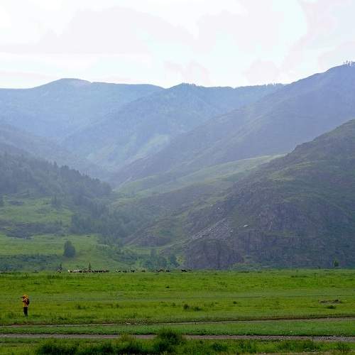 Photo #5863654