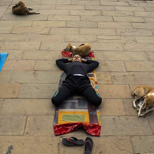 Photo #5864218