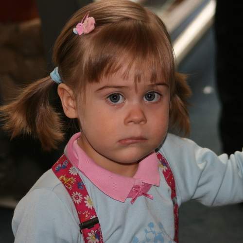 Photo #5864231