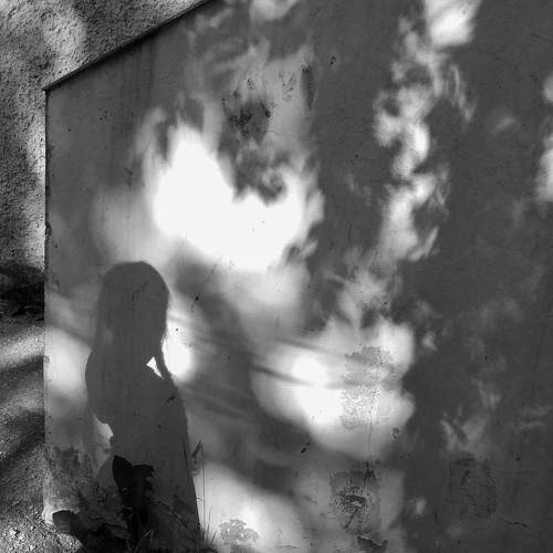 Photo #5864281