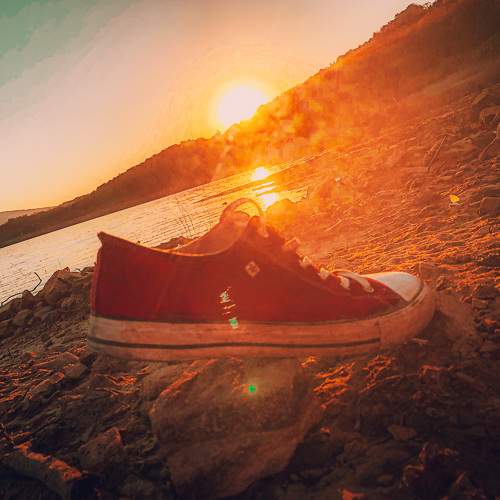 Photo #5864383