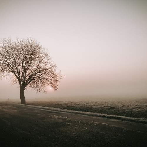 Photo #5864384