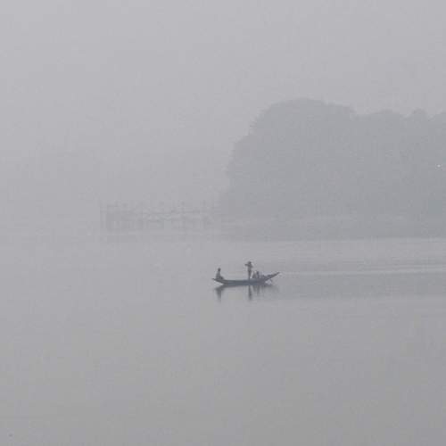 Foggy evening