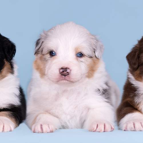 Photo #5864825