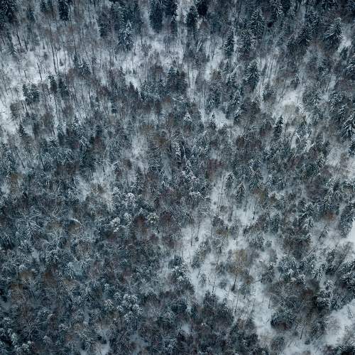 Photo #5864912