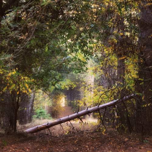 Photo #5864941