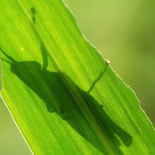 Photo #5864999