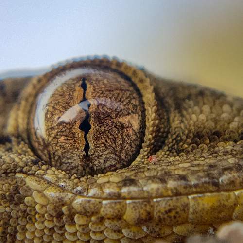 Photo #5865012