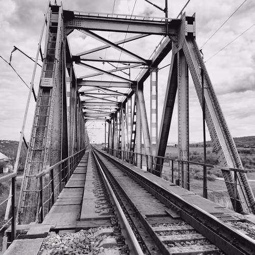 Photo #5865071