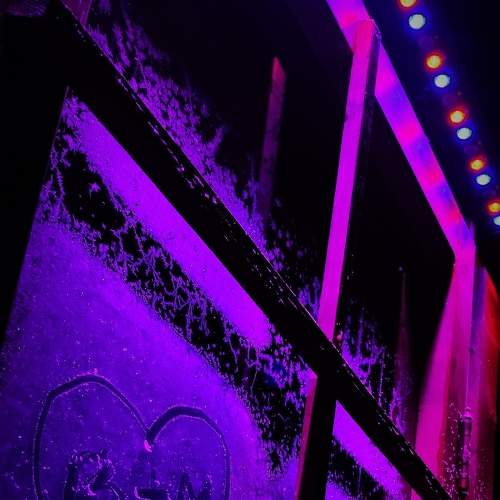 Photo #5865179
