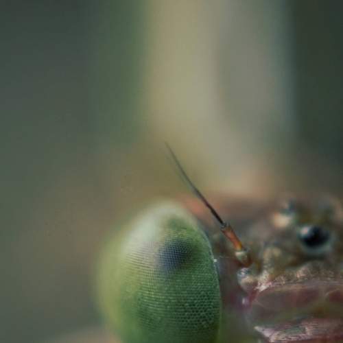 Photo #5865274