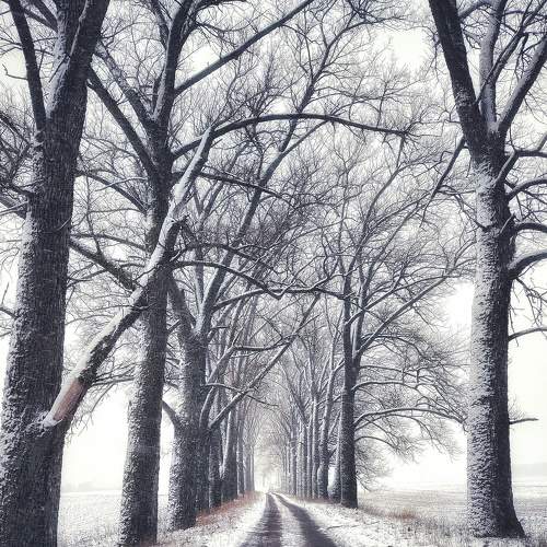 Photo #5865392