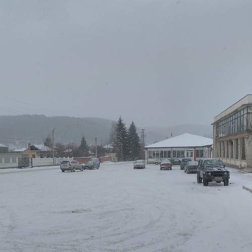 Photo #5865484