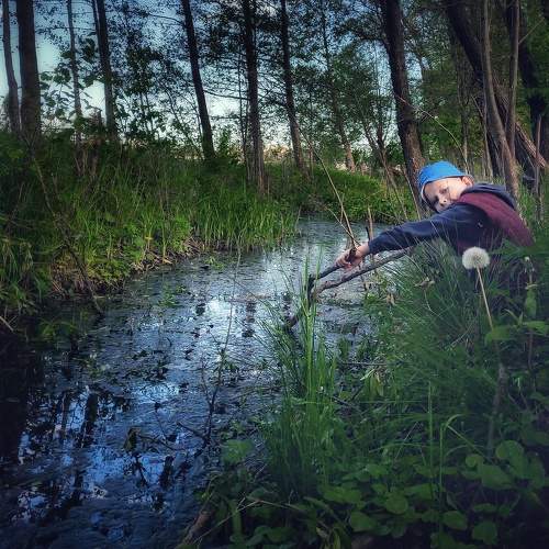 Photo #5865498