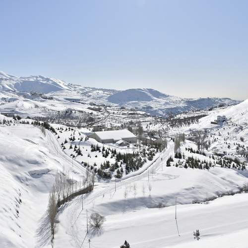 Photo #5865535