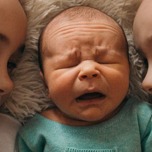 Photo #5865870