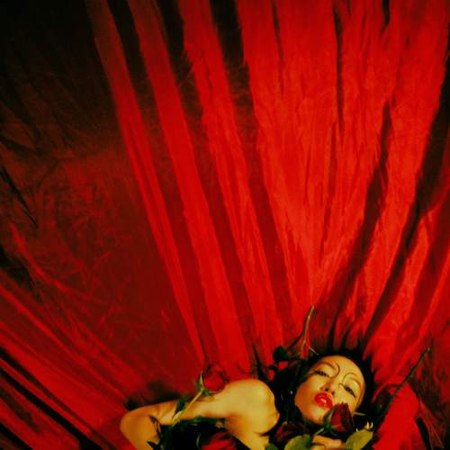 Photo #5865959