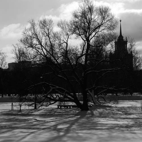 Photo #5866071