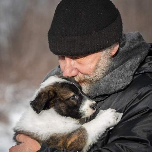 Photo #5866200