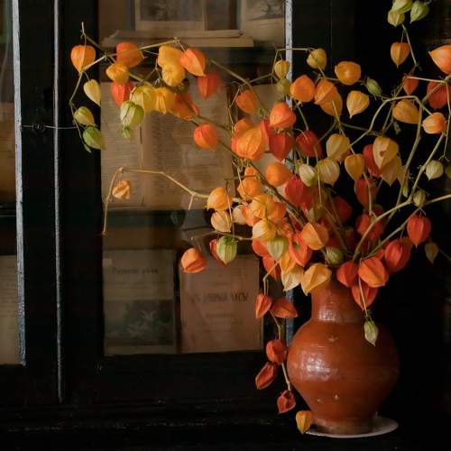 Photo #5866212