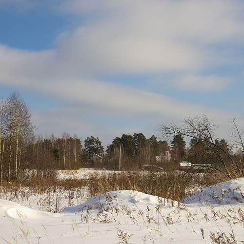 Photo #5866529