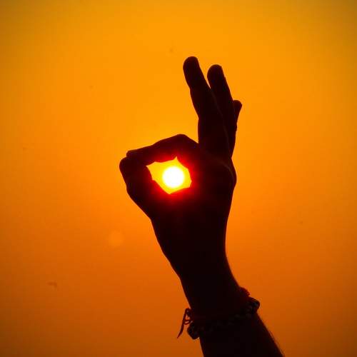 Photo #5866939