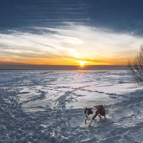 Photo #5866995