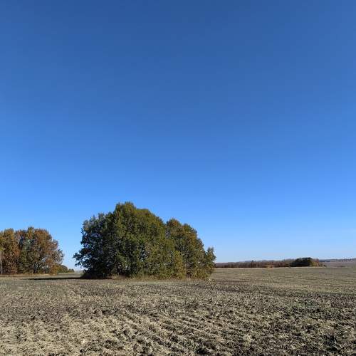 Photo #5867529