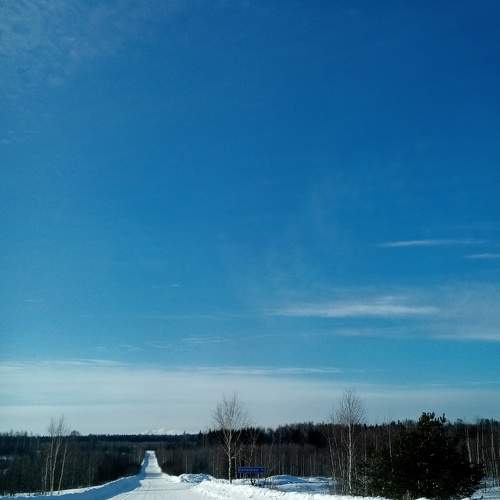 Photo #5867587