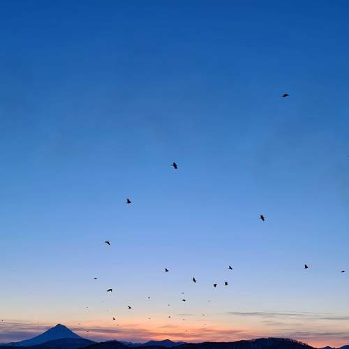 Photo #5867599