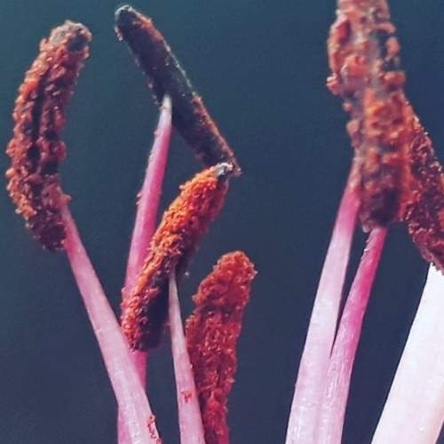 Photo #5867643