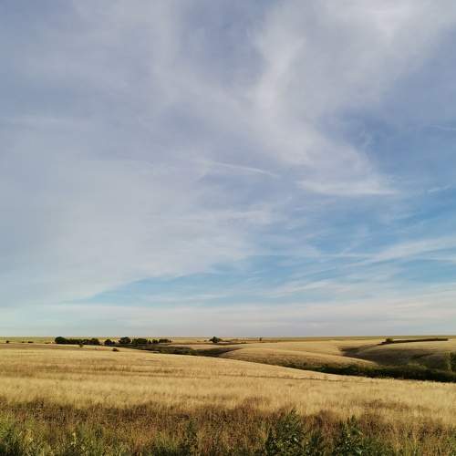 Photo #5867669