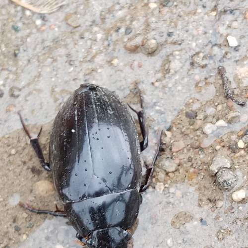 Photo #5867761
