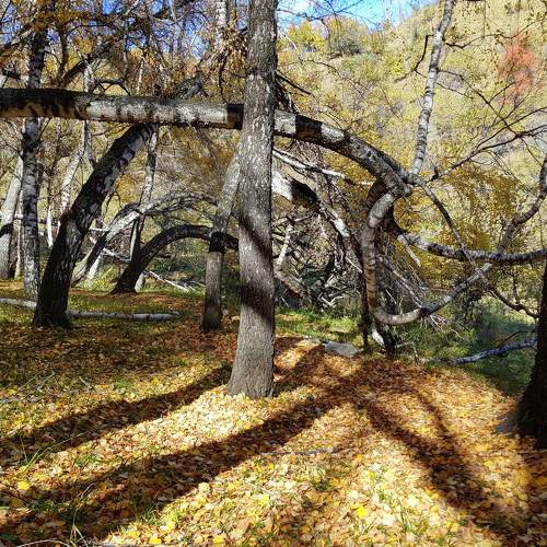 Photo #5867929