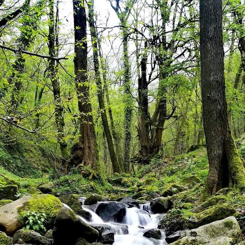 Photo #5867960