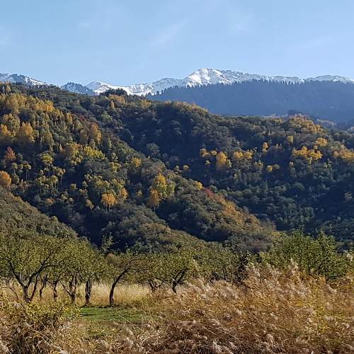 Photo #5868029