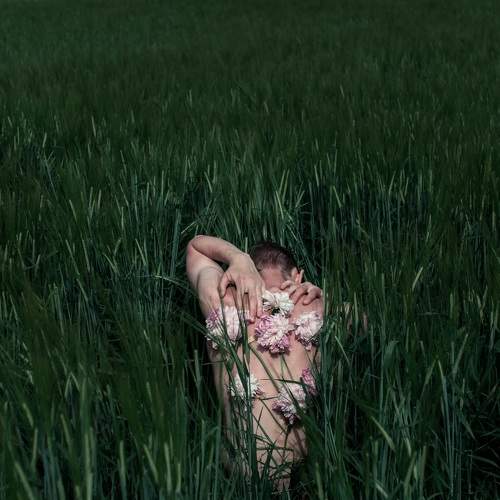 Photo #5868032
