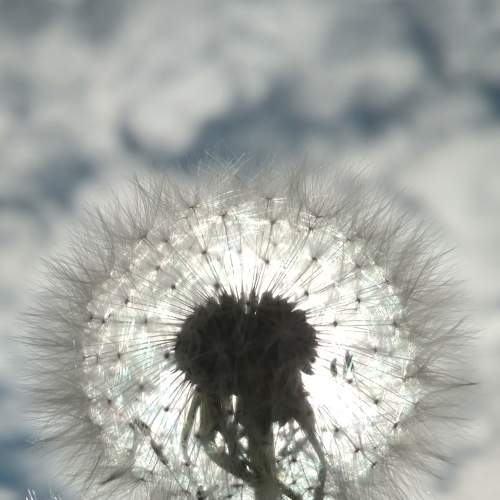 Photo #5868099