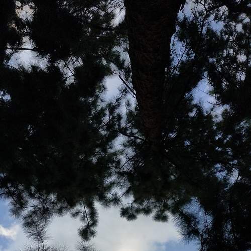 Photo #5868204