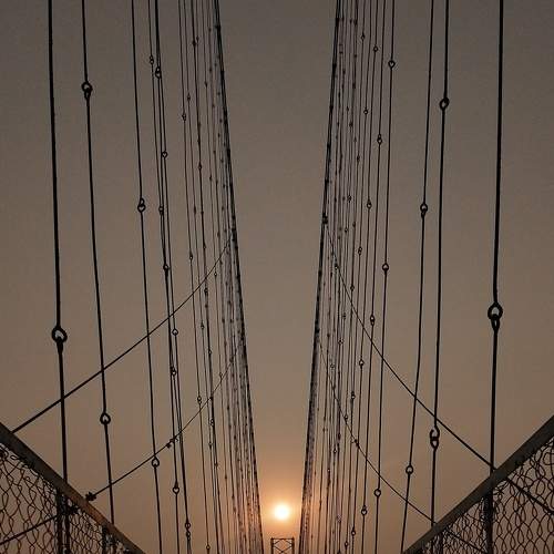 Photo #5868249