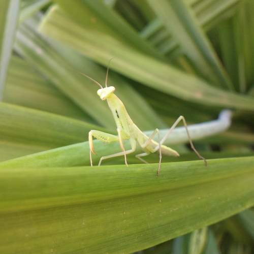 Photo #5868272