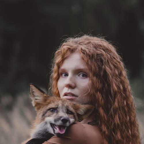 Photo #5868477