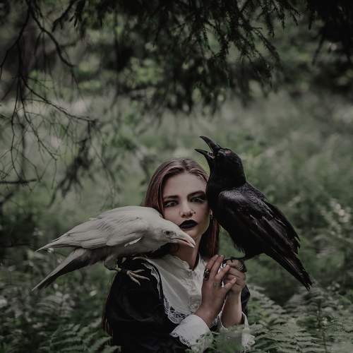 Photo #5868483