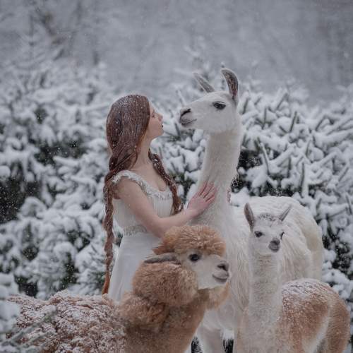 Photo #5868496