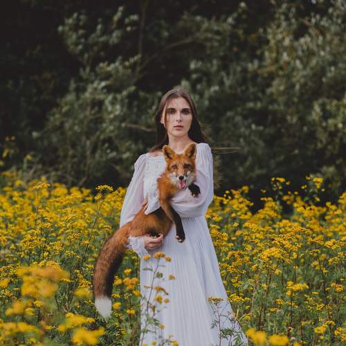 Photo #5868527