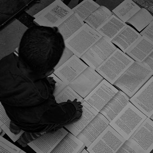 Photo #5868977
