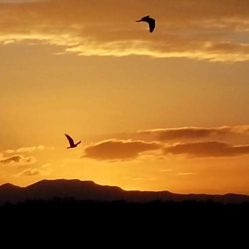Sunset time