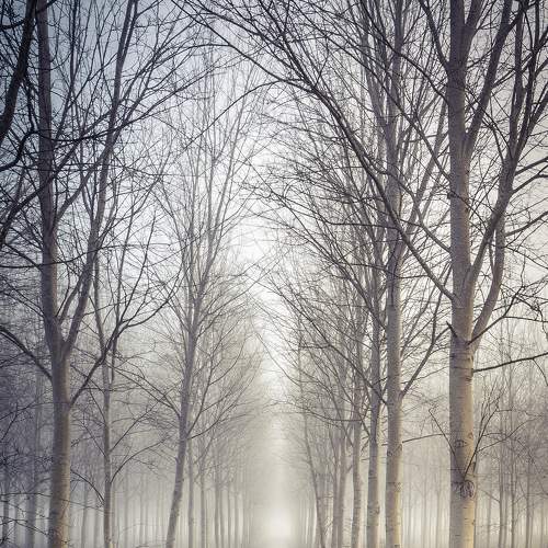 Photo #5869049