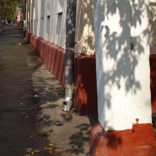 Photo #5869168