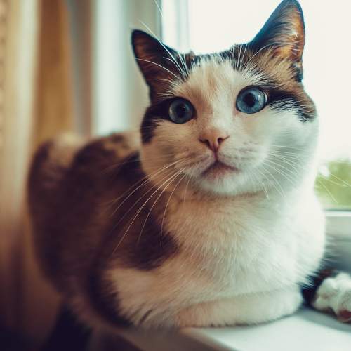 Photo #5869235